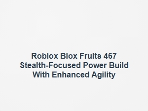 Roblox Blox Fruits 467 Stealth Build with Enhanced Agility